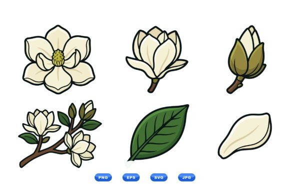 Cream Magnolia Clipart Pack: Graphics for Botanical Design